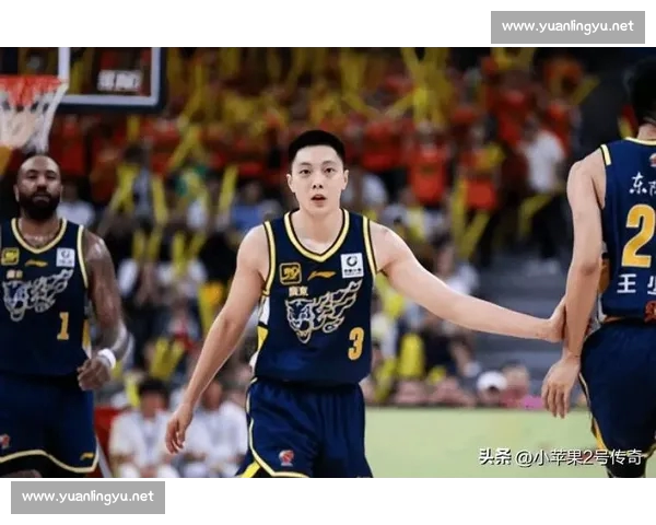 CBA各支球队赛季状态分析及未来发展趋势预测